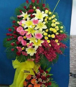 hoa-khai-truong-85